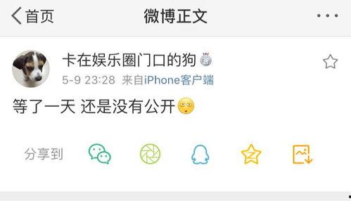 yp吃瓜爆料,揭秘娱乐圈背后的惊人真相